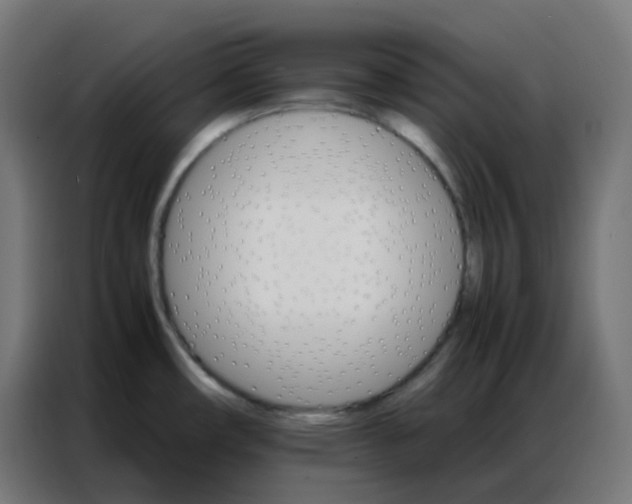 X0000086791482200705041538