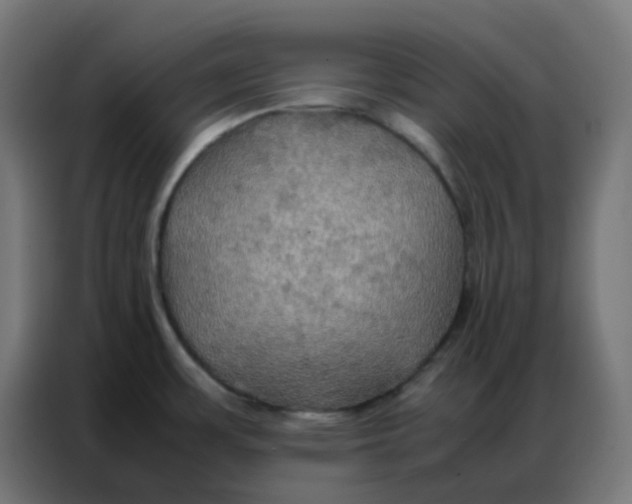 X0000086791483200705041538