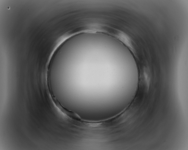 X0000086791484200705041538