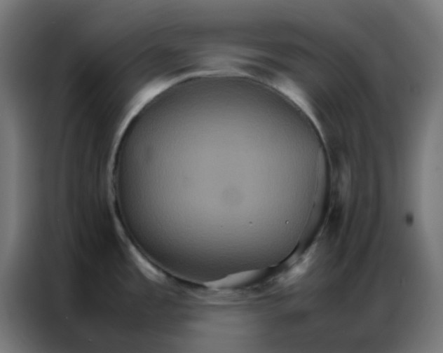 X0000086791485200705041538