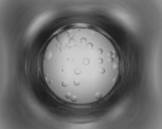 X0000086791487200705041538