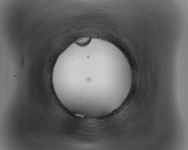 X0000086791489200705041537