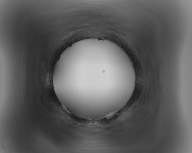 X0000086791490200705041537