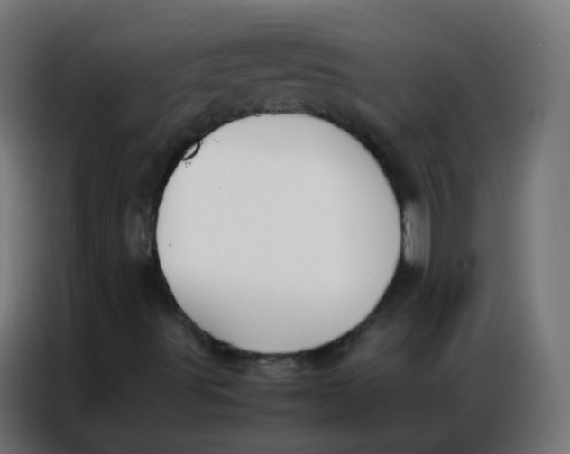 X0000086791491200705041537