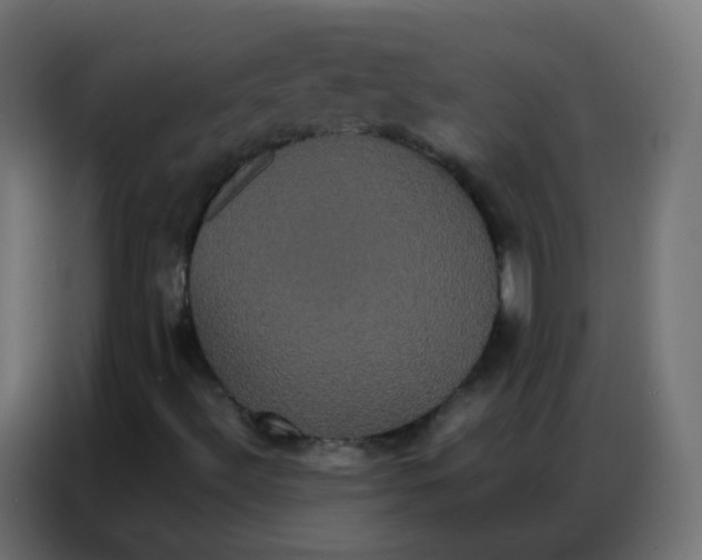 X0000086791492200705041537