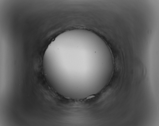 X0000086791494200705041537