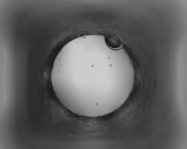 X0000086791495200705041537