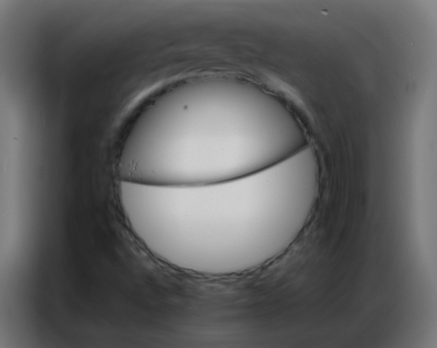 X0000086791496200705041537