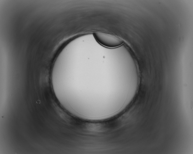 X0000086791499200705041537