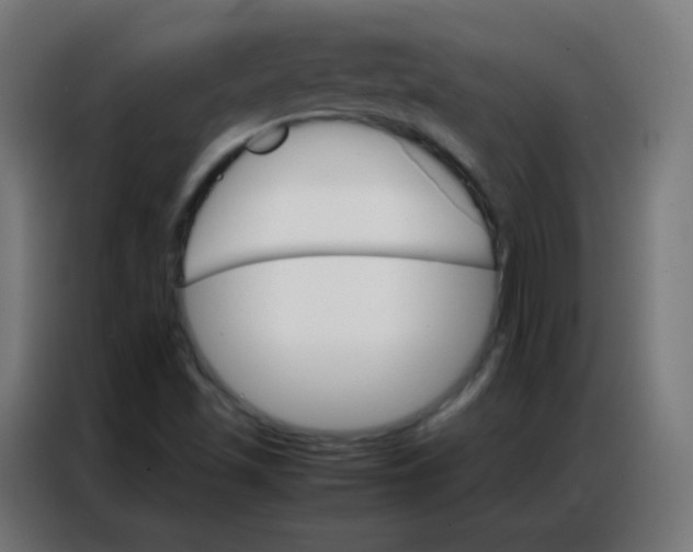 X0000086791501200705041537