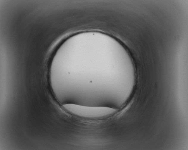 X0000086791502200705041537