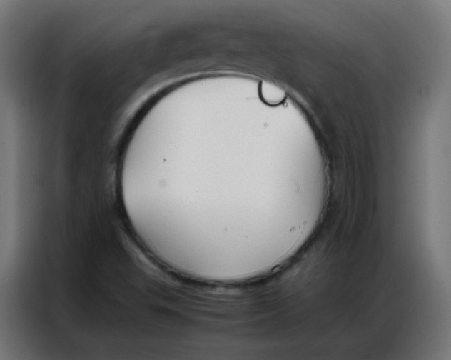 X0000086791503200705041537