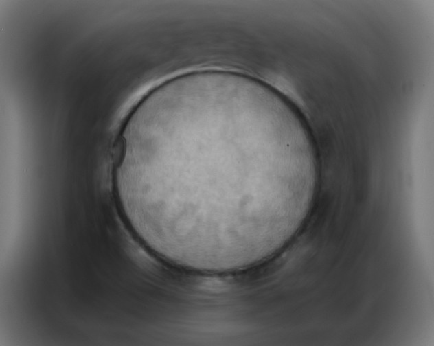 X0000086791504200705041537