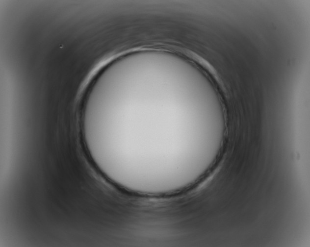 X0000086791506200705041537