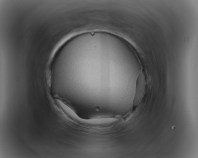 X0000086791510200705041537