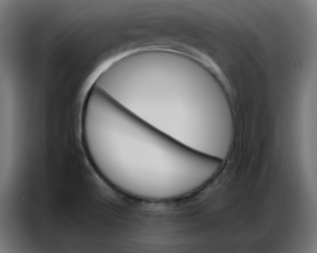 X0000086791512200705041537