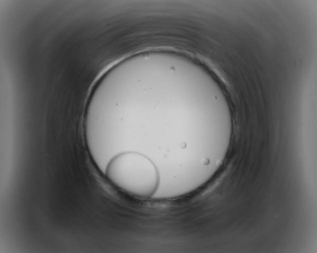 X0000086791513200705041538