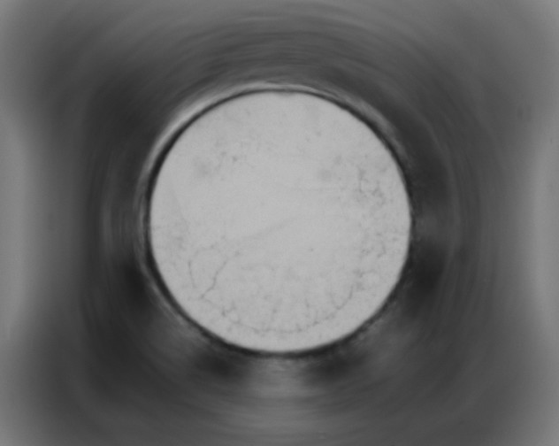 X0000086791514200705041538