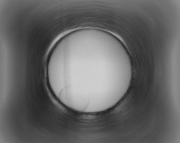 X0000086791515200705041538