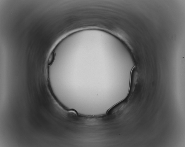 X0000086791516200705041538