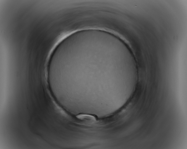 X0000086791517200705041538