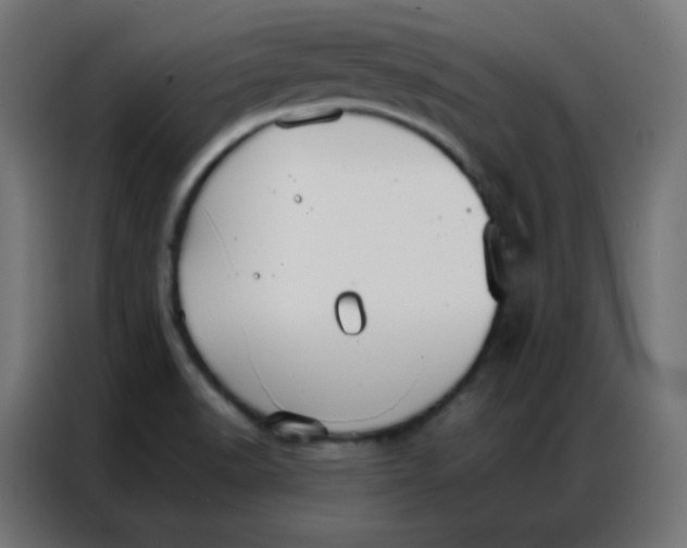 X0000086791518200705041538