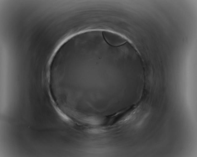 X0000086791519200705041538