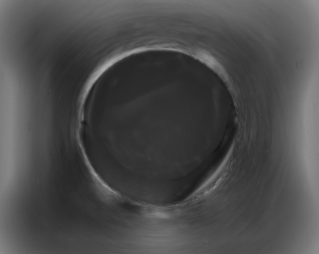 X0000086791520200705041538