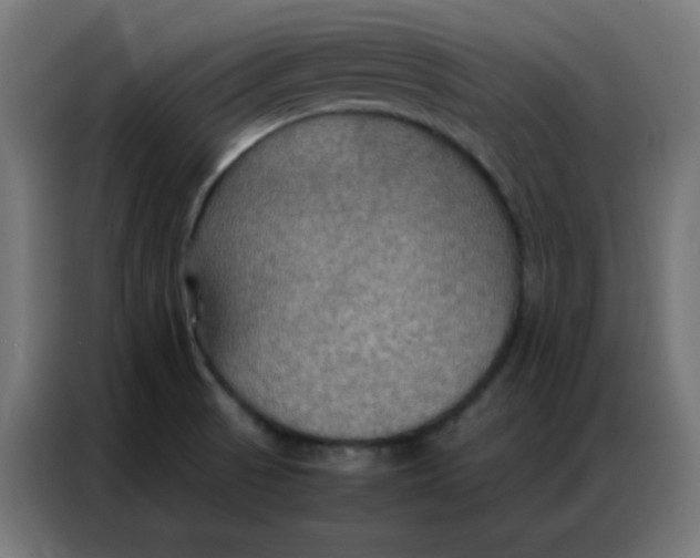 X0000086791521200705041538