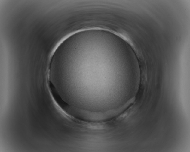 X0000086791524200705041538