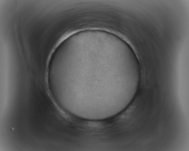 X0000086791525200705041538