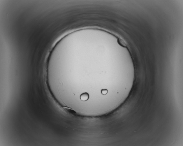 X0000086791526200705041538