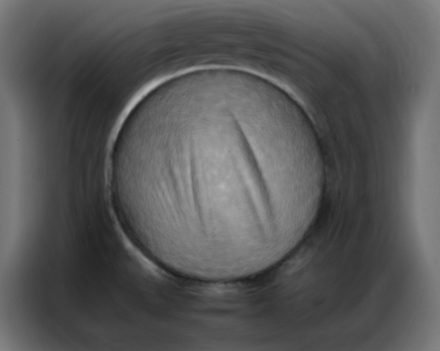 X0000086791527200705041538