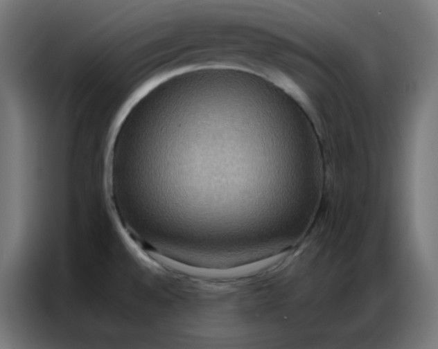 X0000086791528200705041538