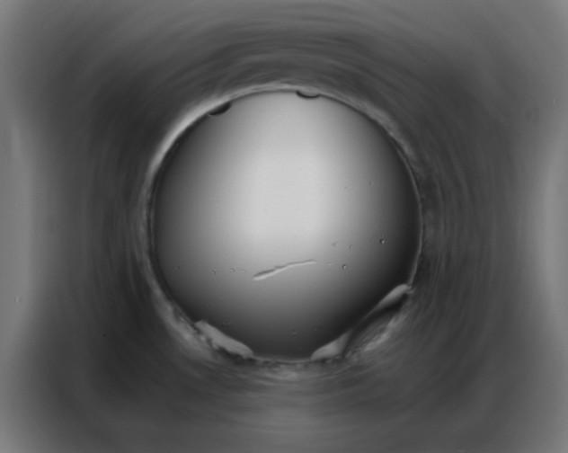 X0000086791530200705041538