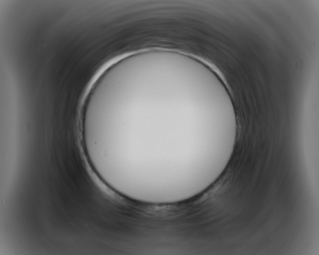 X0000086791531200705041538