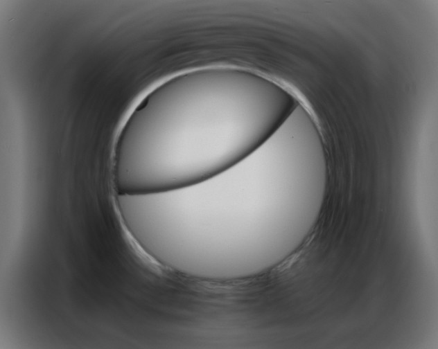 X0000086791532200705041538