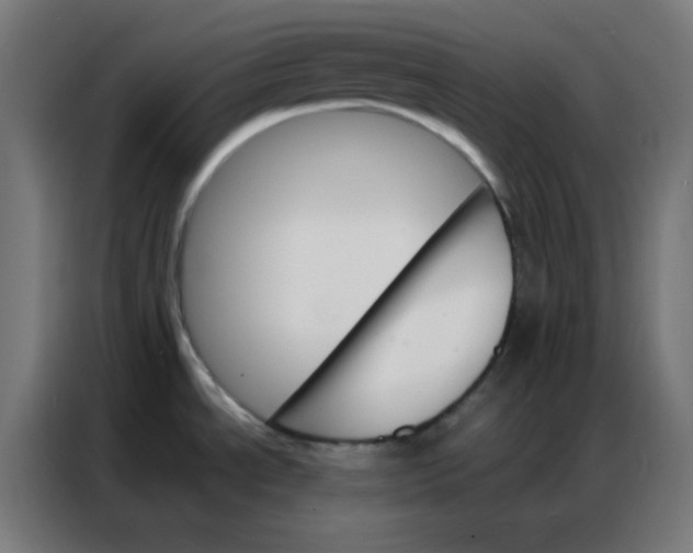 X0000086791534200705041538