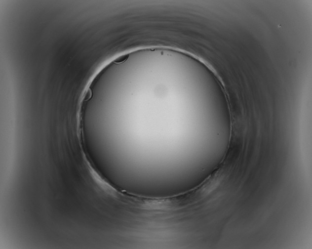 X0000086791535200705041538