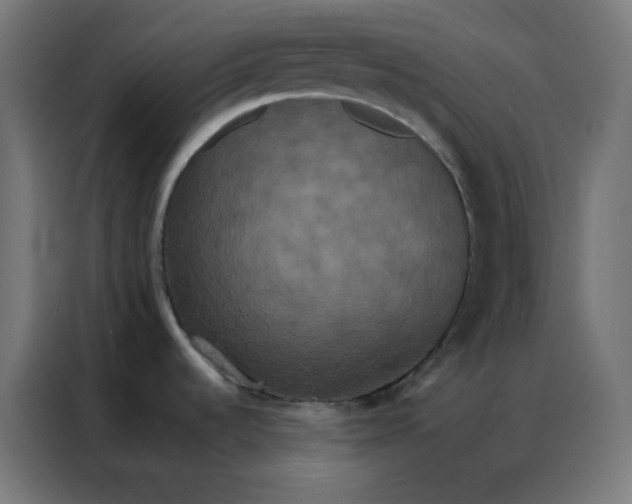 X0000086791536200705041538