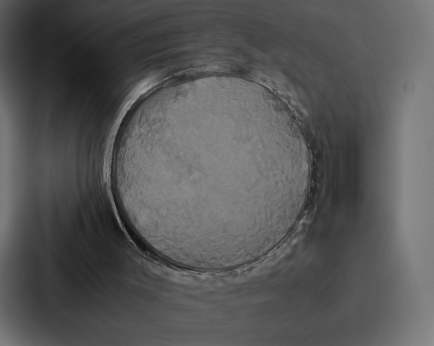 X0000086790003200705111824