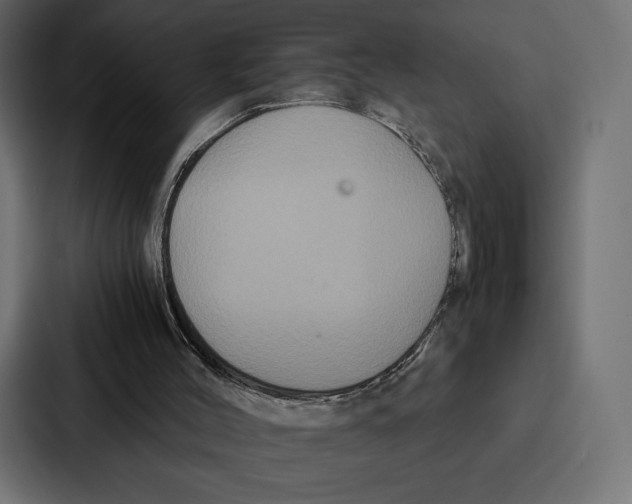 X0000086790004200705111824