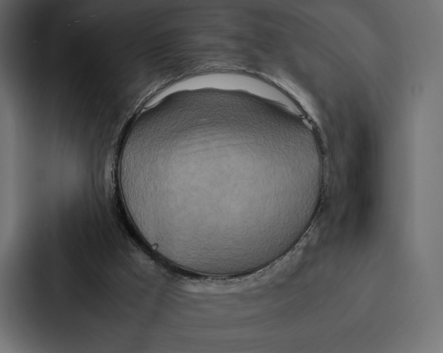 X0000086790009200705111824