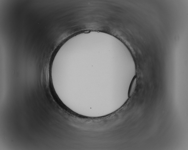 X0000086790011200705111824