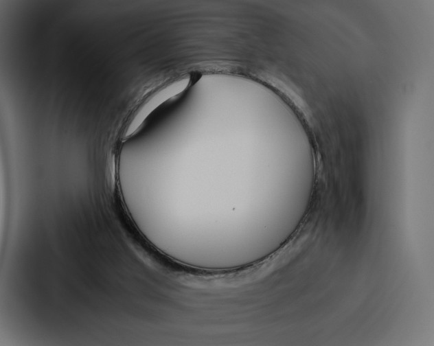 X0000086790013200705111824