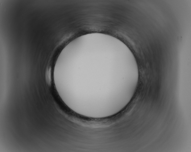 X0000086790020200705111824