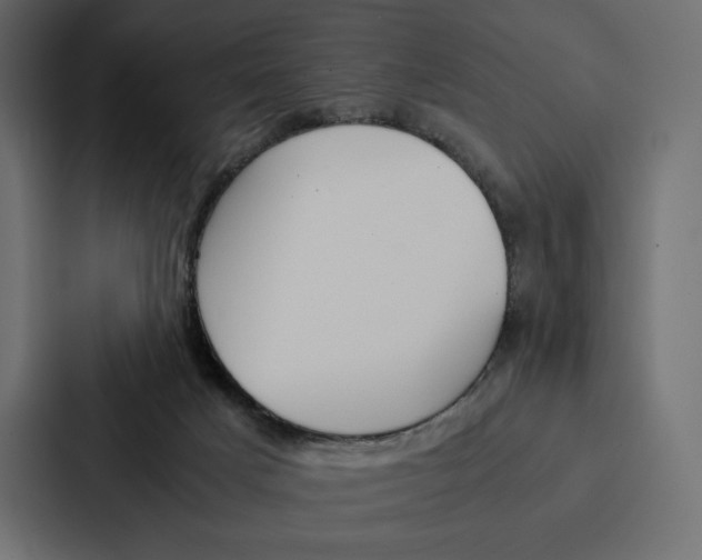 X0000086790025200705111824