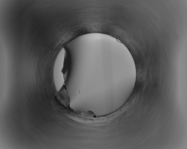 X0000086790027200705111824