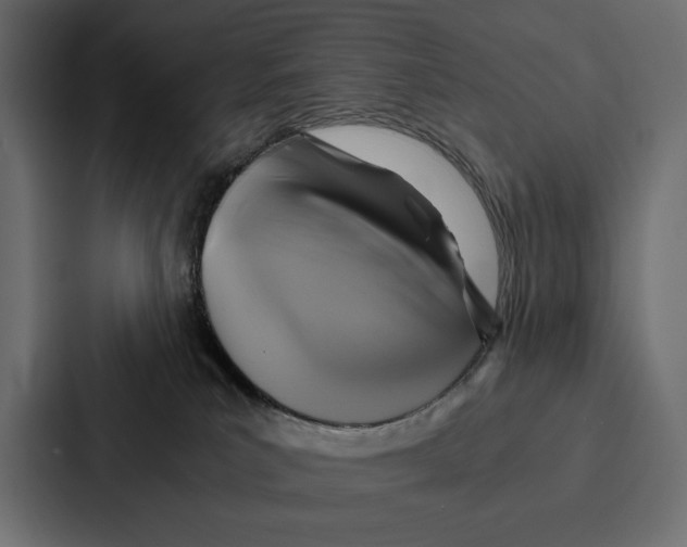 X0000086790039200705111824