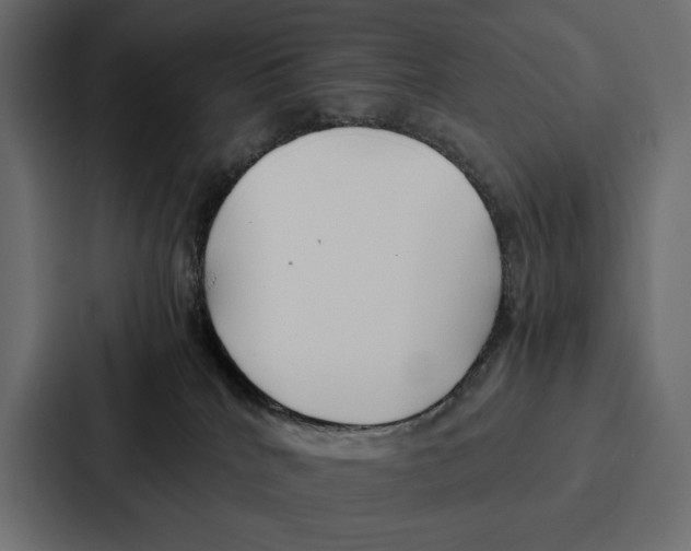 X0000086790040200705111824